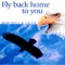 Fly Back Home to You