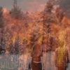 Wildfire