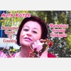 Alle Seisoene Liefde - Single