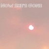 Now She's Gone (feat. FriendlyFire) - Single