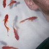 Brainless - Single