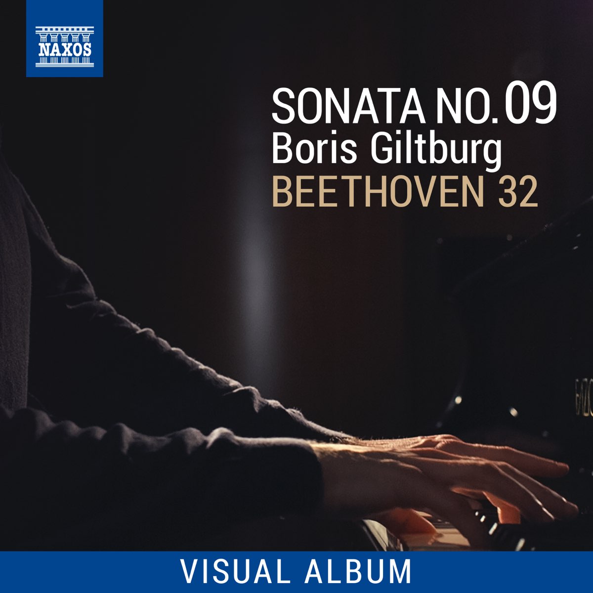 ‎Beethoven 32: Sonata No. 9 (Visual Album) By Boris Giltburg On Apple Music