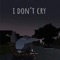 I Don't Cry (feat. Choppa Beatz) - Texx lyrics