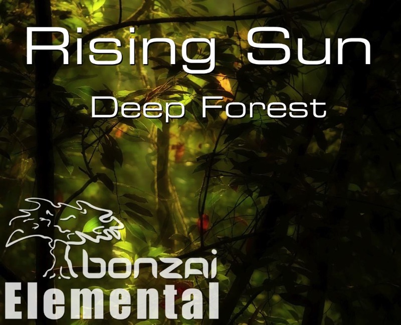 Deep Forest лучший альбом. Rising Sun Forest. Deep Forest Deep Forest текст. Джин Deep Forest.