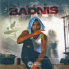 Badnis - Single
