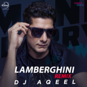 Lamberghini (feat. Ragini) [Remix] - The Doorbeen