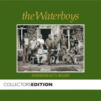 Fisherman's Blues by The Waterboys on Apple Music