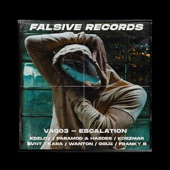 Falsive Records Va003 artwork