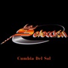 Cumbia del Sol - Single