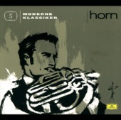 Moderne Klassiker: Horn (Edited Version) artwork