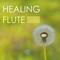 Anxiety Relief - Reiki Healing Music Ensemble lyrics