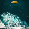 Grandes Éxitos Tropicales