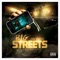 Big on These Streets (feat. BaeBae Savo) - RSM Elrey lyrics