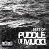 Best of Puddle of Mudd artwork