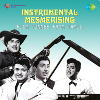 Various Artists - Instrumental Mesmerising Film Tunes from Tamil artwork