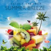 Summer Breeze (Revisited 2021) artwork