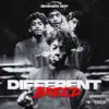 Different Breed album lyrics, reviews, download