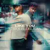 Stream & download Like You - Single