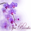Spa Breaks 50 Relaxing Songs - Serenity Spa Music Relaxation