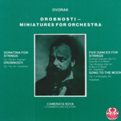 Drobnosti Miniatures For String Orchestra: IV. Elegy artwork
