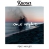 One Night (feat. Hayley) - Single artwork