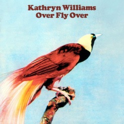 OVER FLY OVER cover art