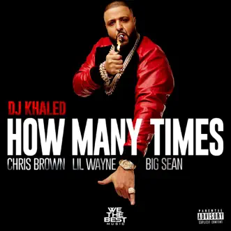 How Many Times (feat. Chris Brown, Lil Wayne, & Big Sean) by DJ Khaled song reviws