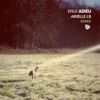 Adieu (Arielle LB Remix) - Single