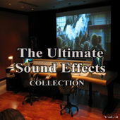 Vinyl Record Scratch - Ultimate Sound Effects Group
