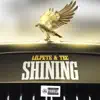 Shining (feat. TEC) - Single album lyrics, reviews, download