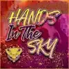 Hands in the Sky (feat. Survant, Vronske & S.B.H.G) - Single album lyrics, reviews, download