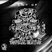 Best of Tropical Bleyage artwork