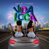 Vida Loca (feat. Godwonder) artwork