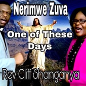 Nerimwe Zuva (feat. Wife Christine) artwork