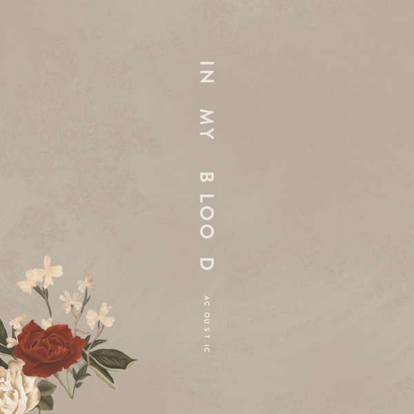 In My Blood (Acoustic) - Single - Shawn Mendes