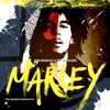 Three Little Birds by Bob Marley & The Wailers iTunes Track 12