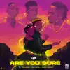 Are You Sure (feat. EMO Grae, Naira Marley & Zinoleesky) song lyrics