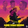 Are You Sure (feat. EMO Grae, Naira Marley & Zinoleesky) - Single