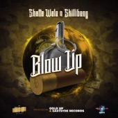 Blow Up (Raw) artwork