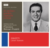 Donizetti: L'elisir d'amore artwork