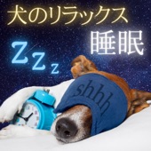 犬のリラックス睡眠 - やさしい森の音でペットもぐっすり眠る・犬用睡眠導入音楽 artwork
