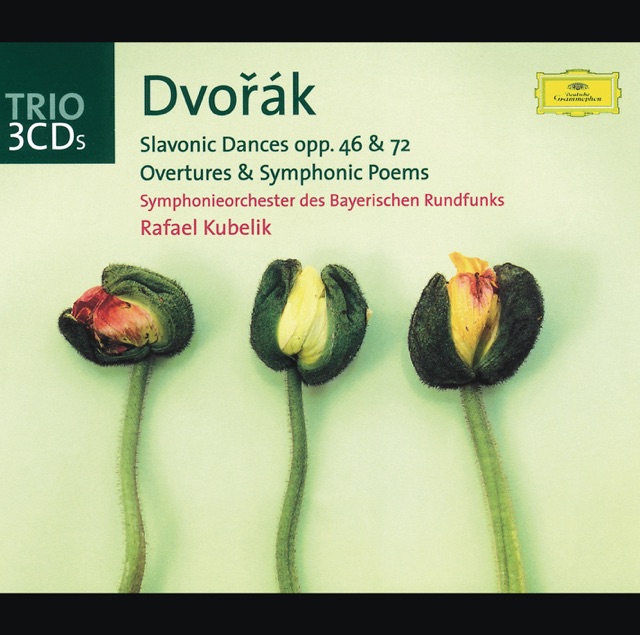 8 Slavonic Dances, Op. 72: No. 8 in A-Flat (Lento Grazioso, Ma Non Troppo, Quasi Tempo Di Valse)