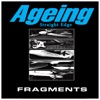 Fragment - EP