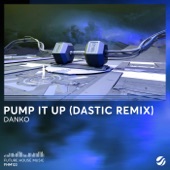 Pump It Up (Dastic Remix) artwork