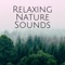 Deep Mindfulness - Serenity Time Record Ensemble & Spa & Spa lyrics