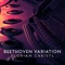 Beethoven Variation (After String Quartet No. 13, Op. 130: II. Presto) artwork