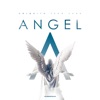 Chiquito Team Band - Angel