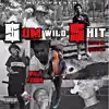 $um Wild $Hit album lyrics, reviews, download