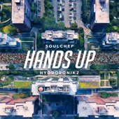 SoulChef;Hydroponikz;SoulChef & Hydroponikz - Hands Up