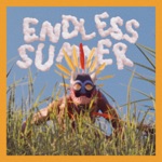 endless summer - Single